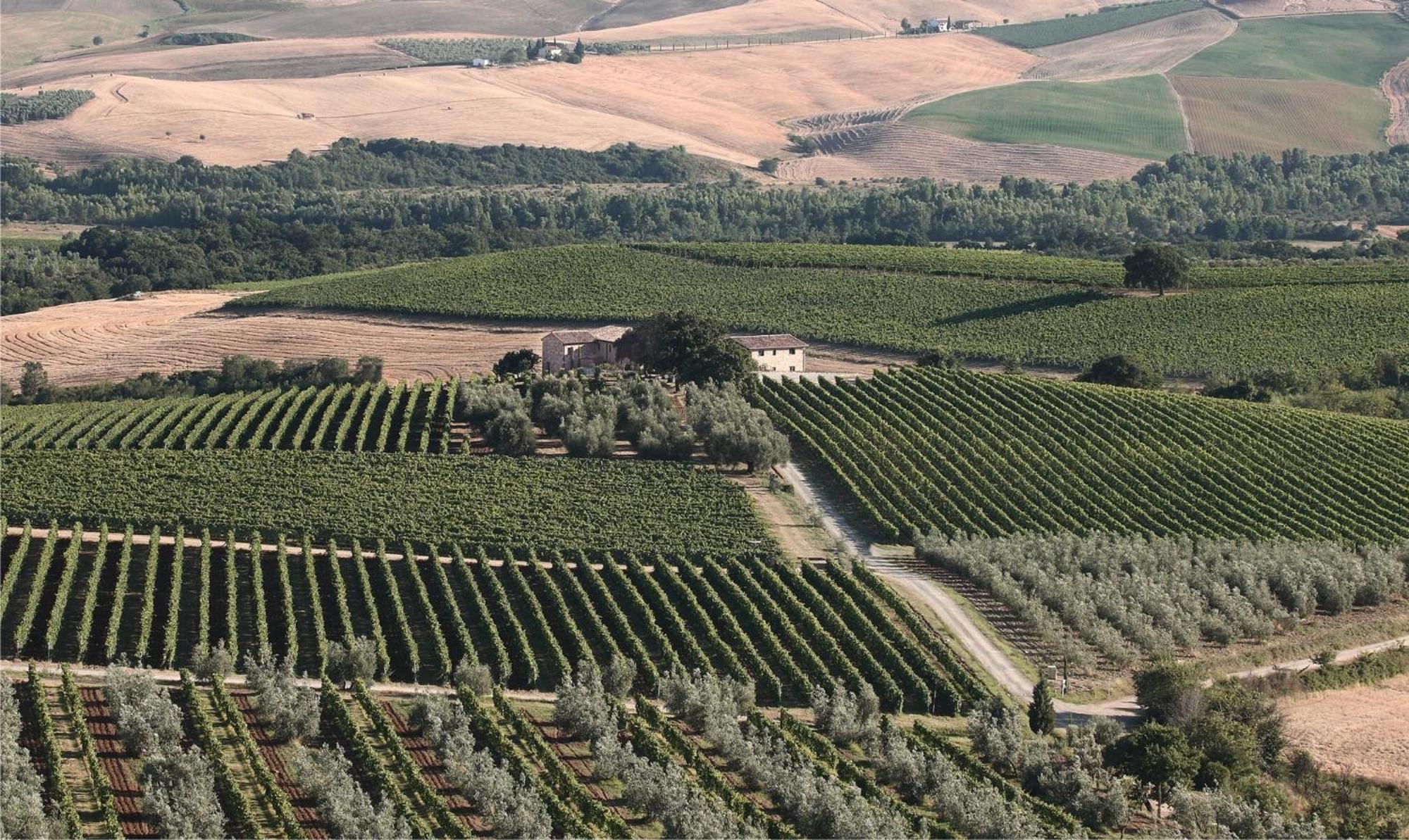 Villa Agriturismo Il Poggione Montalcino Exterior foto